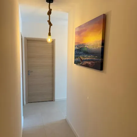 Fleur De Maquis B01 * Belgodère